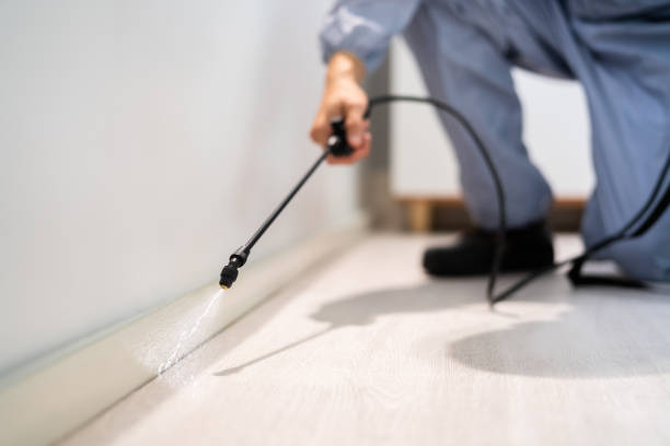 Certified termite inspector examining foundation in Portland