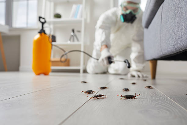 Commercial Kitchen Cockroach Control in Portland